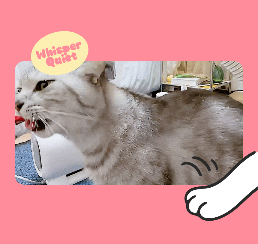7d7891ddd445109470625c7501fa959b_1772526920_4963.gif